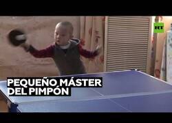 Enlace a Este niño de 3 años es un prodigio del tenis de mesa