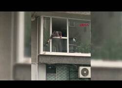 Enlace a Un hombre calienta una paloma desde su ventana un día de fría lluvia