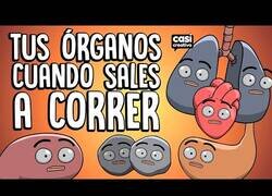 Enlace a Tus órganos cuando sales a correr