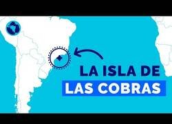 Enlace a La isla de las cobras, el lugar más peligroso del mundo