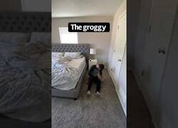 Enlace a Diferentes maneras de levantarse por las mañanas