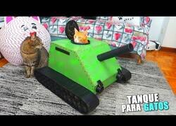 Enlace a Construyendo un tanque para gatos