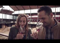 Enlace a Supuestos expertos del vino son engañados con un vino de un euro