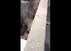 Enlace a Un gato cae de tres pisos y como si nada...