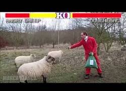 Enlace a Street Fighter en la vida real