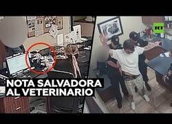 Enlace a Una visita al veterinario la ayuda a escapar del maltrato de su novio
