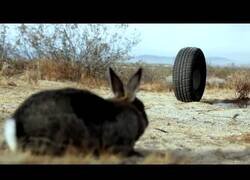 Enlace a La película que te quitará el sueño: La Rueda Asesina