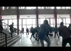 Enlace a Así de sosegados son los debates en el parlamento del Congo