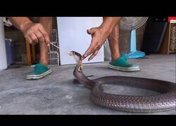 Enlace a El mensaje de Frank Cuesta a Ibai Llanos