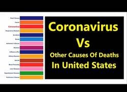 Enlace a La Covid y otras causas de muerte en Estados Unidos