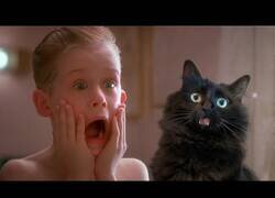 Enlace a La película 'Solo en Casa' hubiera mejorado bastante con la incorporación de un gato