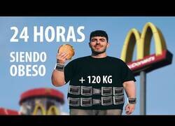 Enlace a 24 horas viviendo como una persona obesa
