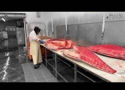 Enlace a Así es el proceso para cortar grandes pescados