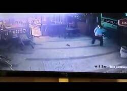 Enlace a Cámara capta a un gato completamente loco