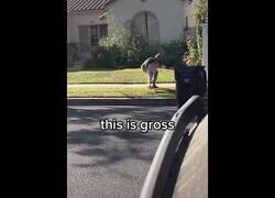 Enlace a Pillan a Mia Khalifa recogiendo las heces de su perro con una mascarilla que se pone después