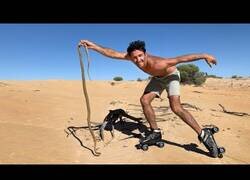 Enlace a Atrapando serpientes con patines de ruedas