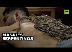 Enlace a Así es recibir un masaje de serpientes