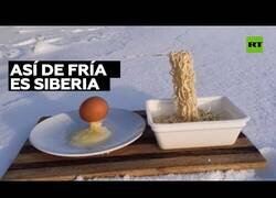 Enlace a Fenómenos que solo suceden en la fría Siberia