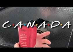 Enlace a Presentando Candá con la intro de 'Friends'