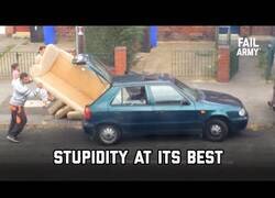 Enlace a Personas a las que les costó cara su estupidez