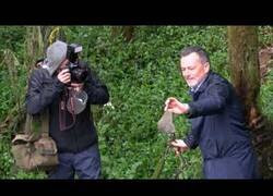 Enlace a Cómo olvidar el día que un político gallego quiso denunciar lo sucio que estaba el Río Sar ensuciándolo más