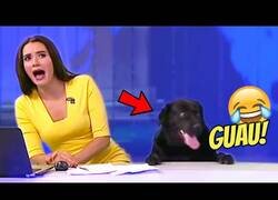 Enlace a Algunos de los momentos más graciosos y divertidos de la televisión