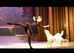 Enlace a El perro que sabe bailar ballet