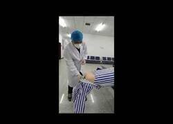 Enlace a Así explican desde China cómo llevar a cabo una PCR anal