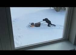 Enlace a Si la gente se olvidara de cómo utilizar sus objetos