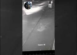 Enlace a Salta del vehículo en marcha y consigue escapar de la policía