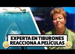 Enlace a Una experta en tiburones opina sobre películas de tiburones