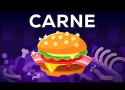 Enlace a Los inconvenientes de la carne