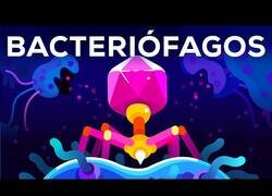 Enlace a Bacterias, el ser más mortífero del planeta