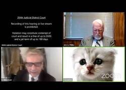 Enlace a Aparece en una videoconferencia de trabajo con un filtro de gato