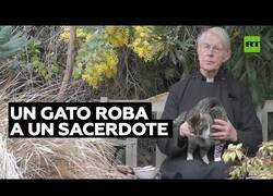 Enlace a Un gato se come la comida de un sacerdote