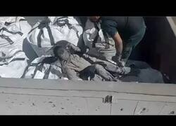 Enlace a La Guardia Civil encuentra a un hombre en una bolsa de cemento