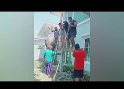 Enlace a Trabajar así parece divertidísimo