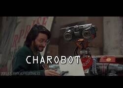 Enlace a El robot perfecto para la pandemia