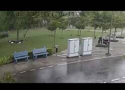 Enlace a Un rayo alcanza a 4 personas al impactar contra un árbol