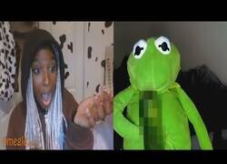 Enlace a La Rana Gustavo felicita el día internacional de la mujer como solo se puede hacer en Omegle