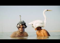 Enlace a Conociendo a la tribu de los Mohana, 'los hombres del mar'