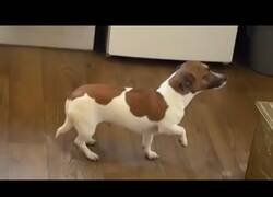 Enlace a 'Si no te mueves, no pueden verte'