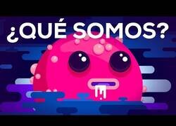 Enlace a ¿Alguna vez te has preguntado qué somos?