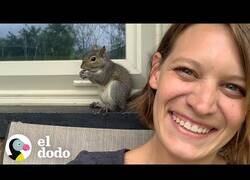 Enlace a Cuando tu amiga ardilla te visita todos los días