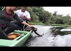 Enlace a Un perezoso jugando con el agua desde un bote