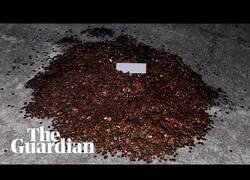 Enlace a Le pagan el finiquito a un hombre con monedas de calderilla