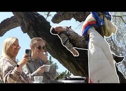 Enlace a Paracaidista militar se pierde en la ciudad [Cámara Oculta]