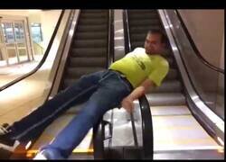 Enlace a La vida está llena de 'bugs'