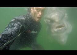 Enlace a Cuando descubre en el mar un pez que no conoces