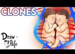 Enlace a El 'Draw My Life' sobre la clonación